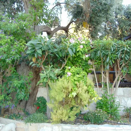 Walnut Grove * Vouni