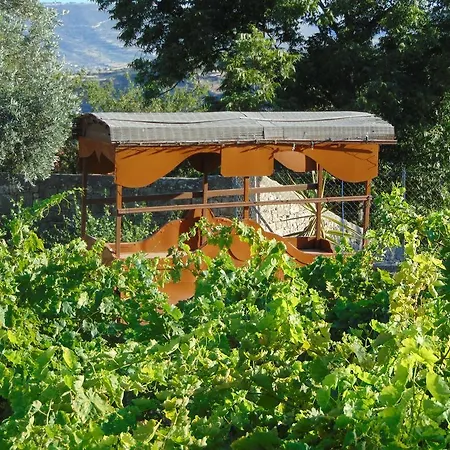 Tatil Evi Walnut Grove *