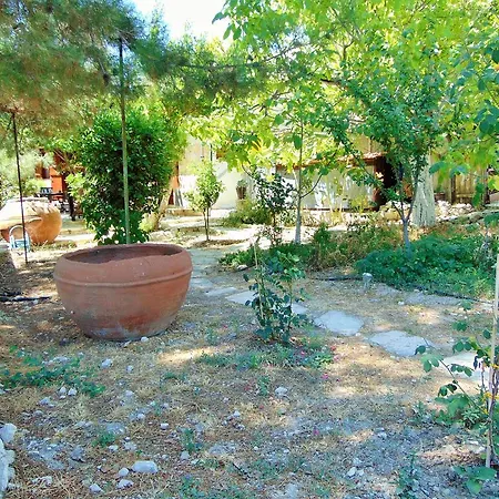 Walnut Grove Tatil Evi *