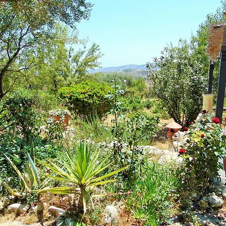 Walnut Grove Tatil Evi Vouni