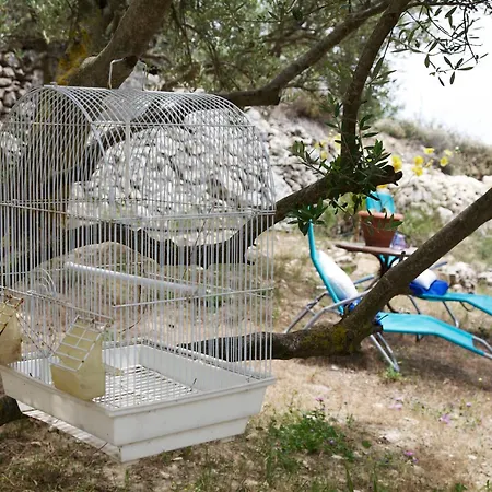 Vakantiehuis Walnut Grove *