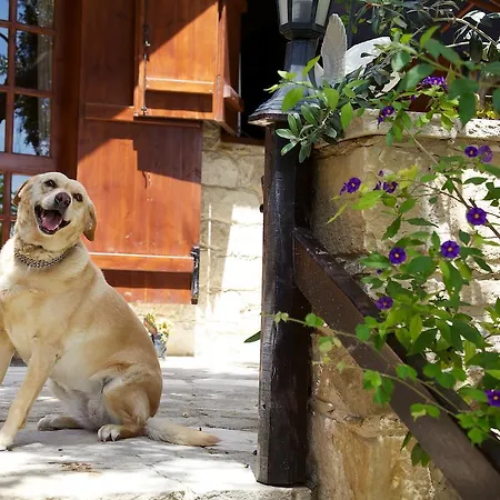 Walnut Grove Vakantiehuis *