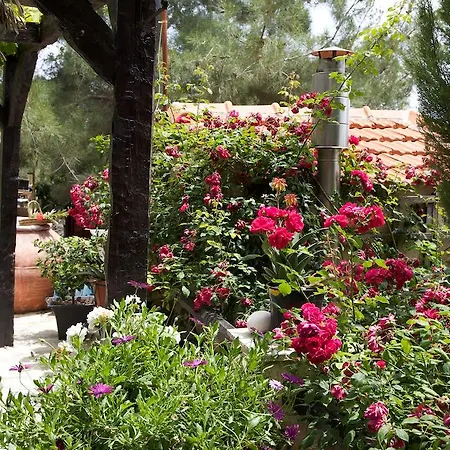 Walnut Grove Tatil Evi Vouni
