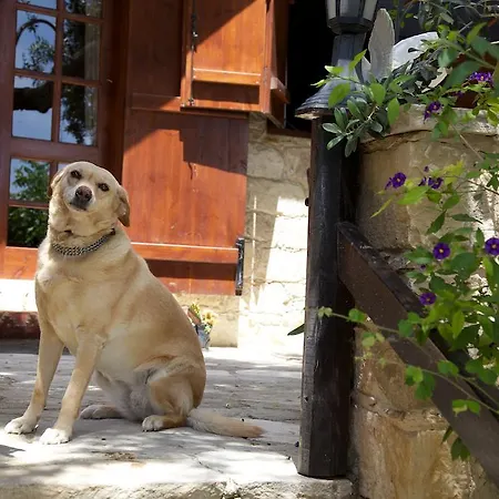 Tatil Evi Walnut Grove *