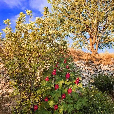 Vakantiehuis Walnut Grove Vouni