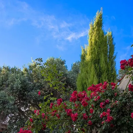 Walnut Grove * Vouni