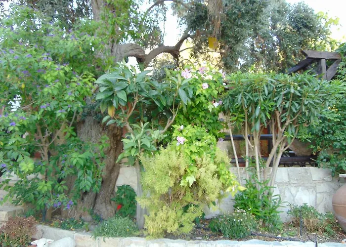 Walnut Grove * Vouni