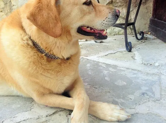 Prázdninový dům Walnut Grove Vouni