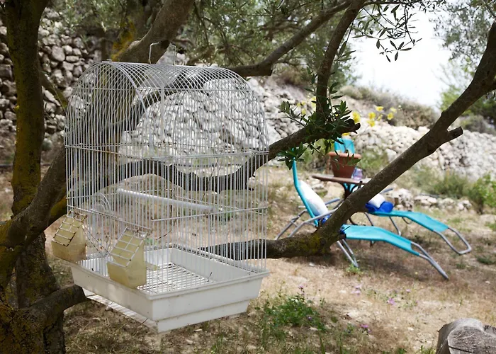 Prázdninový dům Walnut Grove *