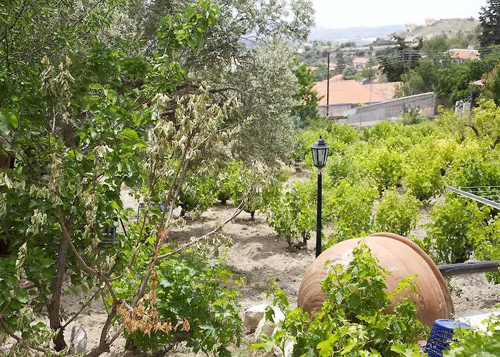 Walnut Grove Prázdninový dům Vouni