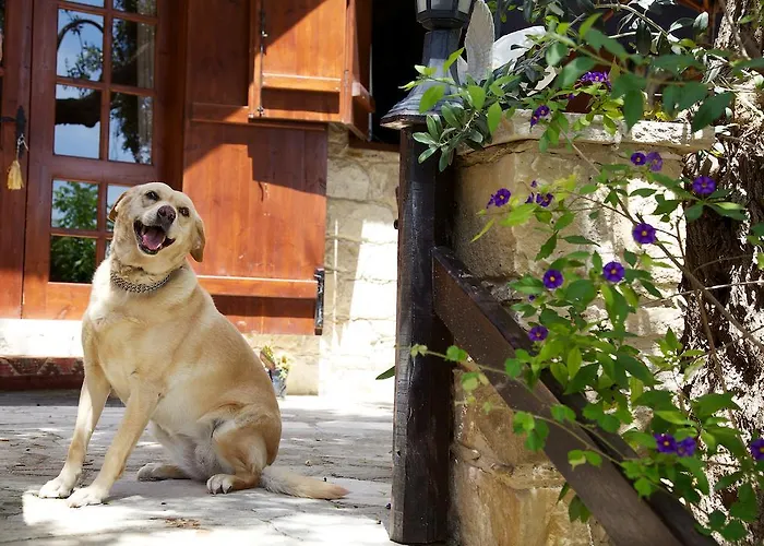 Walnut Grove Prázdninový dům *