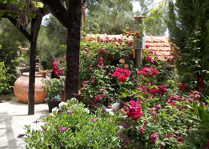 Walnut Grove Prázdninový dům Vouni