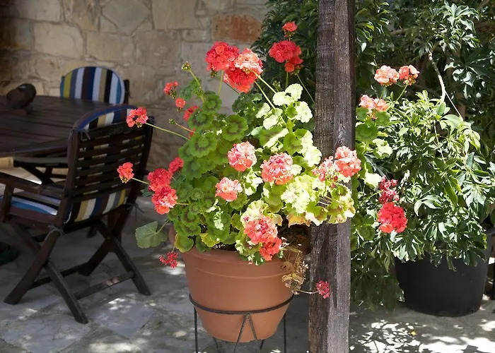 Prázdninový dům Walnut Grove Vouni