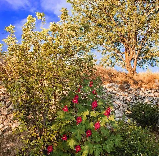 Prázdninový dům Walnut Grove Vouni