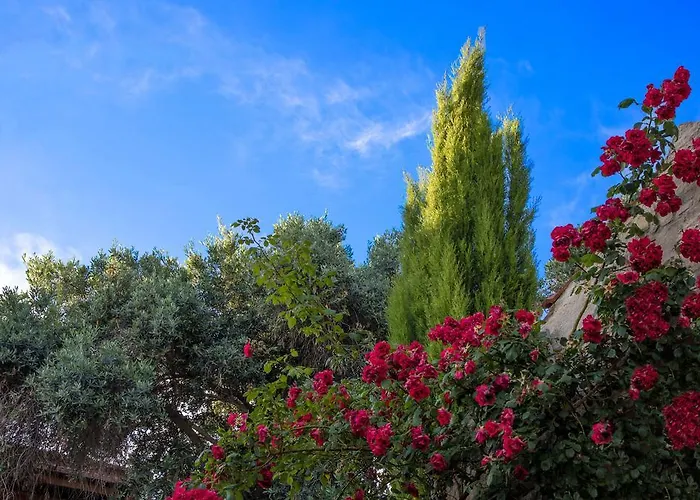 Walnut Grove * Vouni